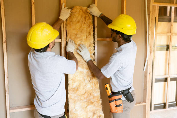 Professional Insulation Contractor in Elmira, NY